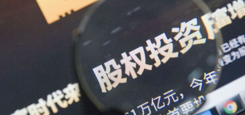 股權(quán)投資 村集體經(jīng)濟(jì)組織投資方式多元化的新探索